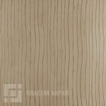 2551-corallo-2