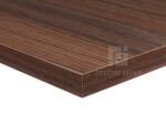4303-larix