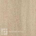 4519-larix-2