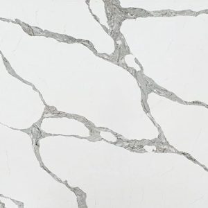 Vicostone Forza BQ-8920