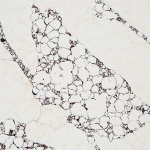 WSP Stone WLSY6025 Мозаика