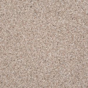 Grandex D 303 Raisined Chocolate